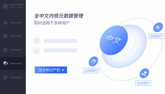 深度解析億信元數據管理系統espowerMeta 數據清洗與元數據管理的企業級實踐